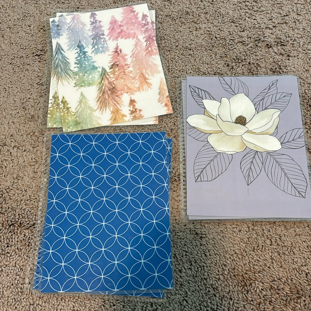 Erin Condren covers
